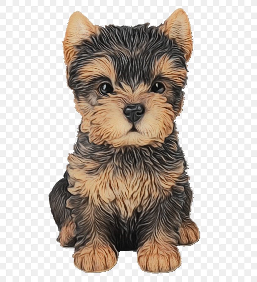 Dog Cartoon, PNG, 566x900px, Yorkshire Terrier, Animal Figure, Australian Terrier, Breed, Cairn Download Free