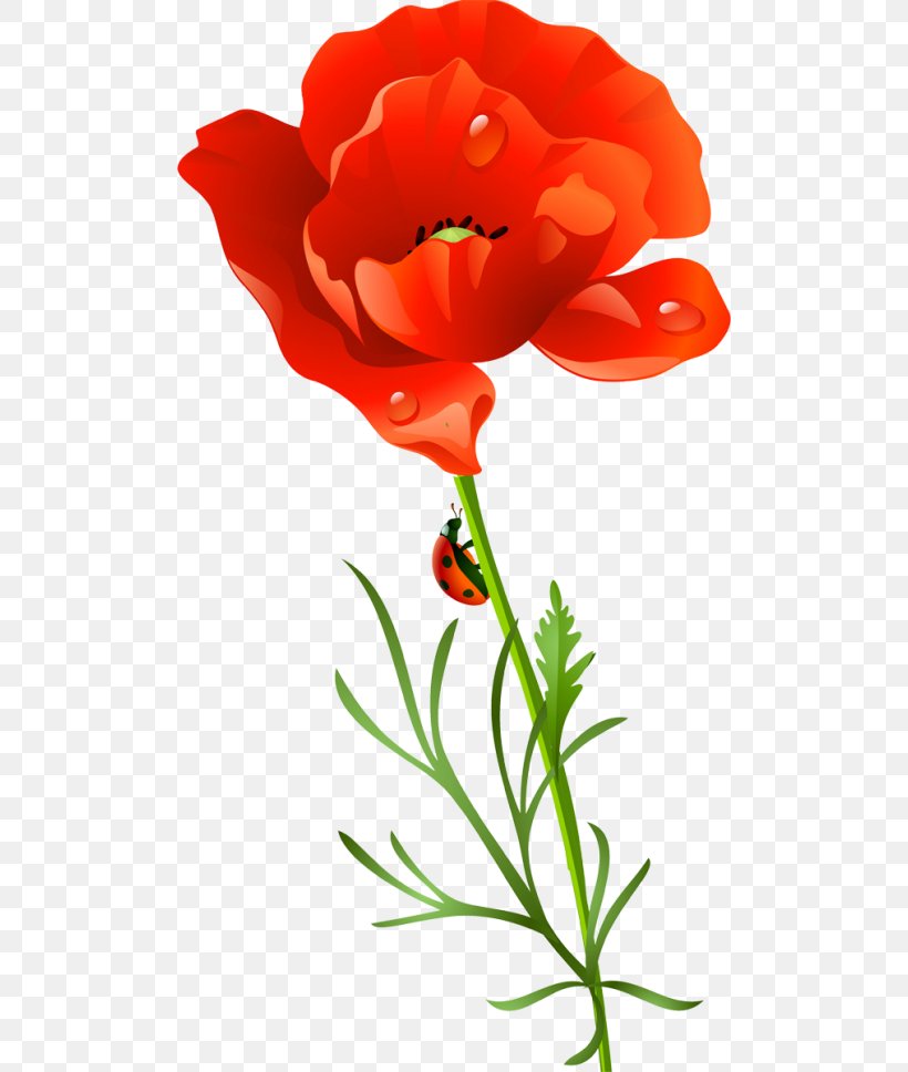 Poppy Flower Clip Art, PNG, 500x968px, Poppy, Blume, Coquelicot, Cut Flowers, Flower Download Free