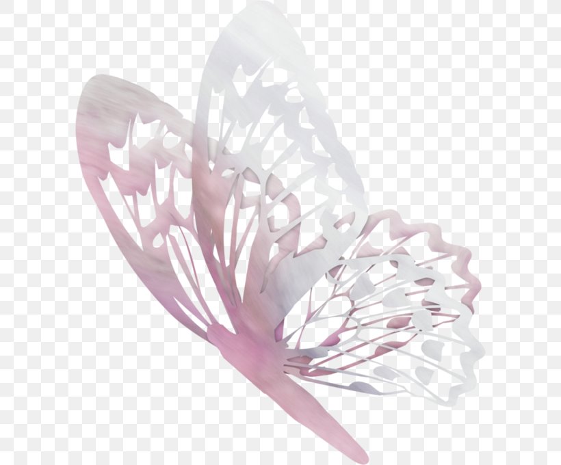 Butterfly Papillon Dog Animal Drawing Bird, PNG, 600x680px, Butterfly, Animal, Art, Bird, Calque Download Free