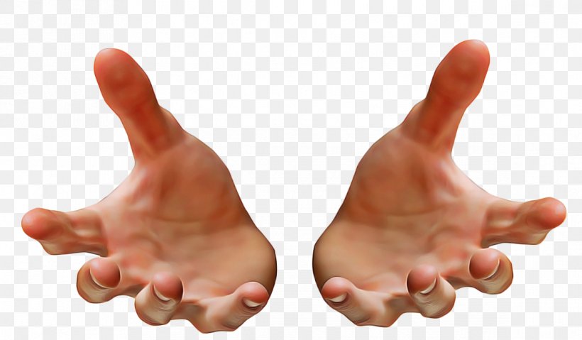 Finger Hand Thumb Gesture Arm, PNG, 1169x683px, Finger, Arm, Foot, Gesture, Hand Download Free