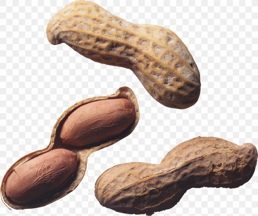 Nut Roast Peanut Allergy Tree Nut Allergy, PNG, 2549x2136px, Nut Roast, Commodity, Food, Hazelnut, Ingredient Download Free