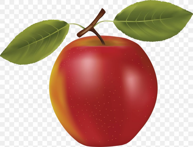 Apple Juice Fruit Clip Art, PNG, 3477x2655px, Fruit, Apple, Food, Local Food, Mcintosh Download Free