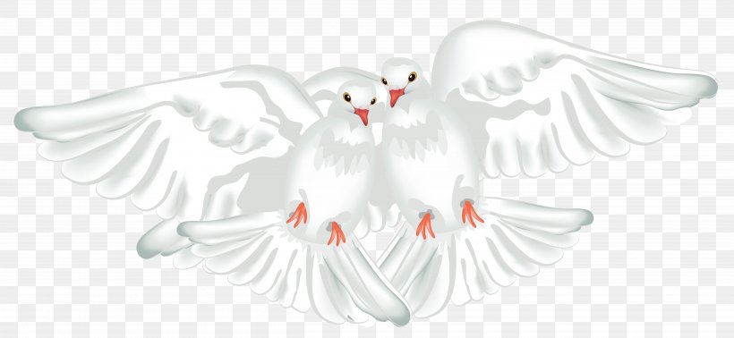 Columbidae Rock Dove Bird Doves As Symbols, PNG, 5195x2399px, Columbidae, Artwork, Beak, Bird, Body Jewelry Download Free