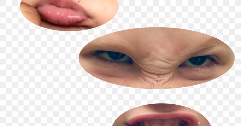 Emotion Cheek Eyebrow Behavior, PNG, 1200x630px, Emotion, Behavior, Cheek, Chin, Classroom Download Free