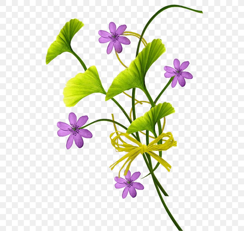 Flower Clip Art, PNG, 600x777px, Flower, Cut Flowers, Flora, Flowering Plant, Herbaceous Plant Download Free