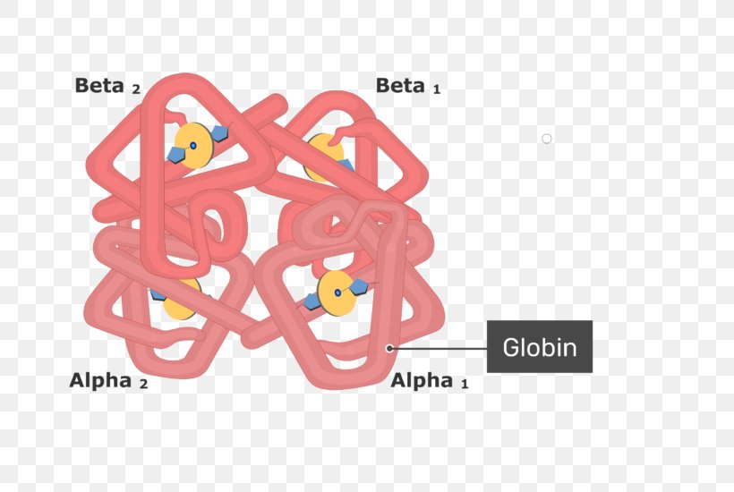 Hemoglobin Molecule Blood Myoglobin Chemistry, PNG, 770x550px, Watercolor, Cartoon, Flower, Frame, Heart Download Free