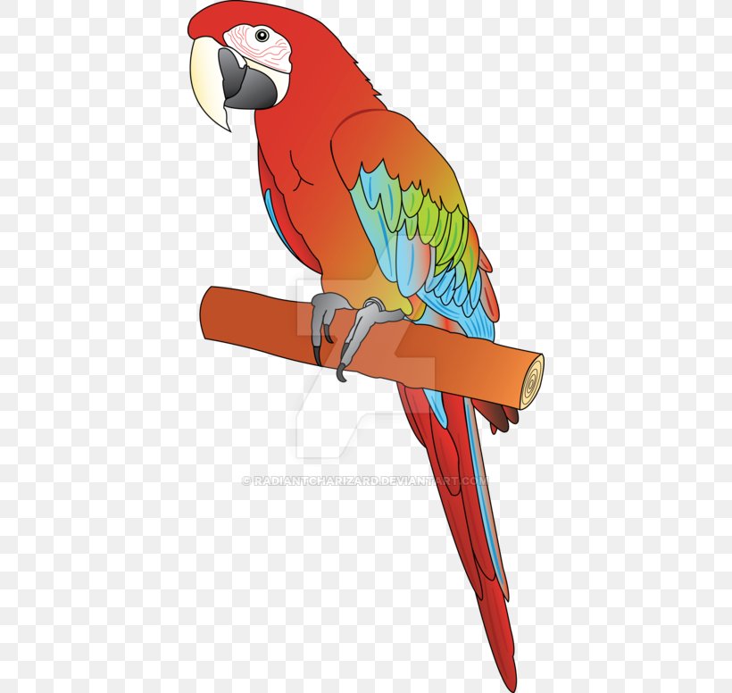 Macaw Parrot Beak Clip Art, PNG, 400x776px, Macaw, Art, Beak, Bird, Fauna Download Free