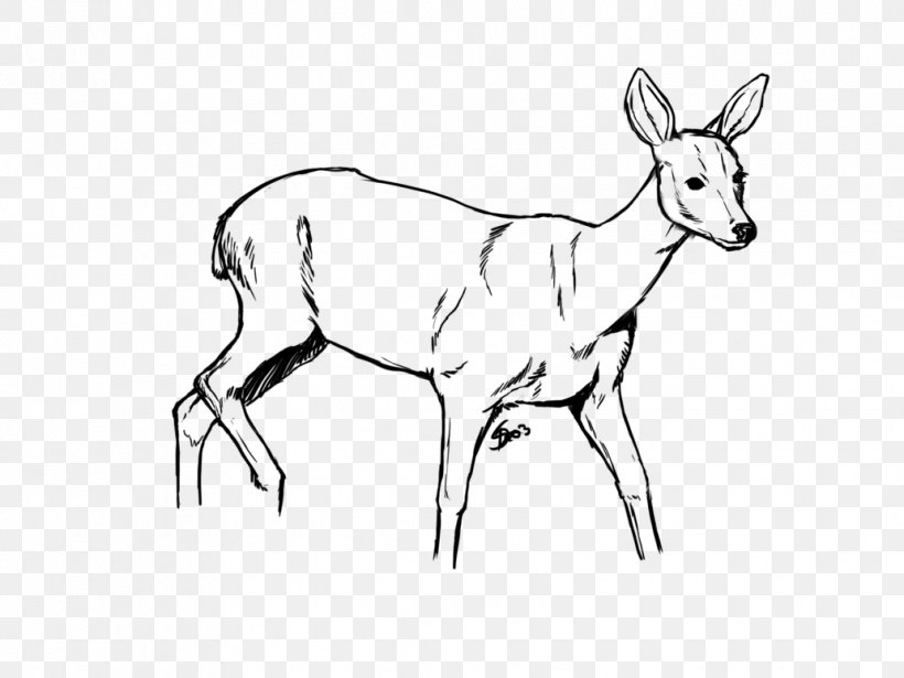 Reindeer White-tailed Deer Drawing Elk, PNG, 1032x774px, Reindeer, Antelope, Antler, Art, Artwork Download Free