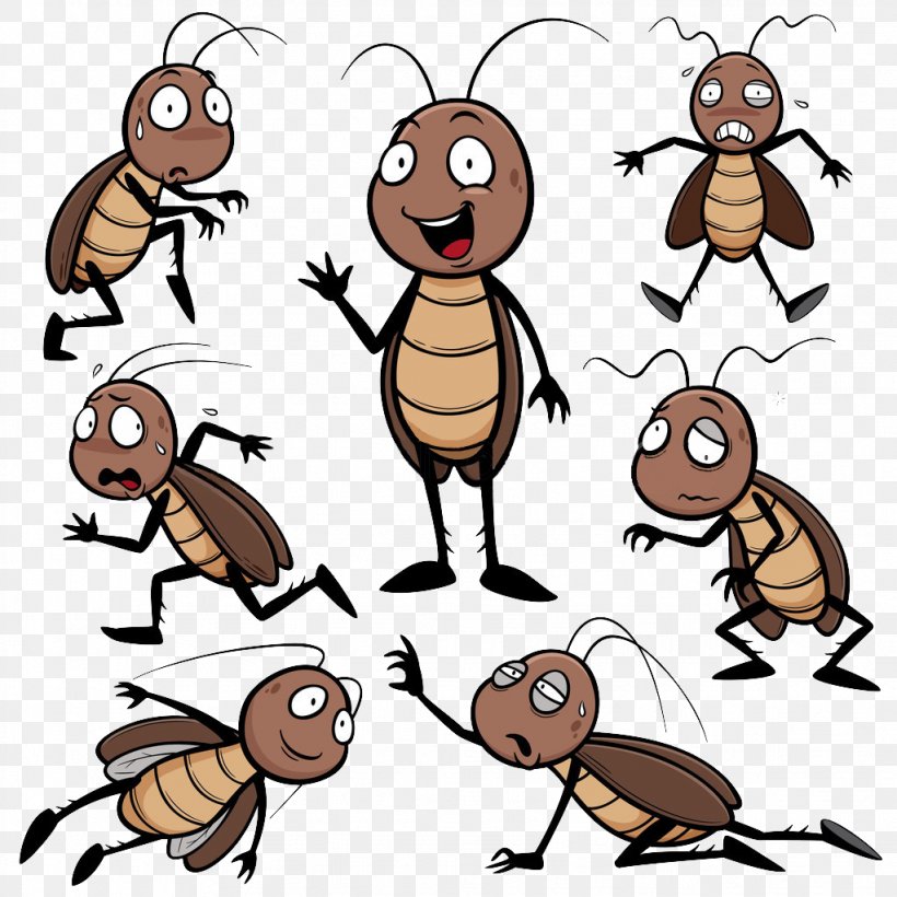 Cockroach Cartoon Drawing Clip Art, PNG, 1023x1023px, Cockroach, Artwork, Cartoon, Drawing, Honey Bee Download Free