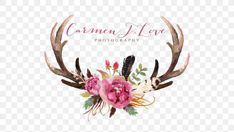 Deer Antler Floral Design Flower Moose, PNG, 800x465px, Deer, Antler, Cut Flowers, Floral Design, Flower Download Free