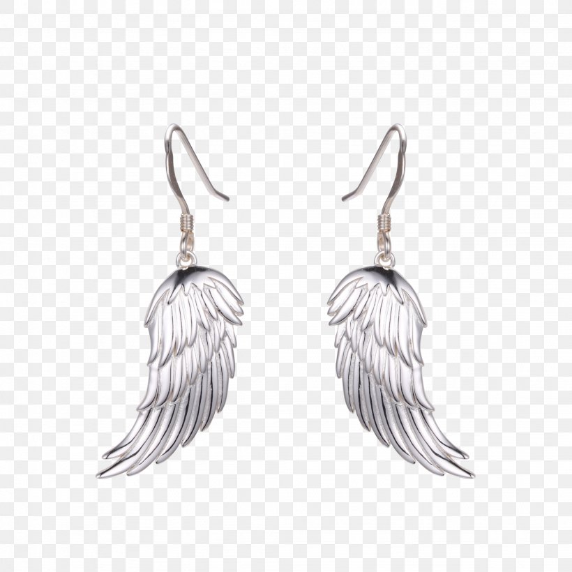 Earring, PNG, 2048x2048px, Earring, Earrings, Feather, Jewellery, Silver Download Free