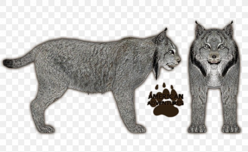 Eurasian Lynx Canada Lynx Felidae Bobcat, PNG, 1024x628px, Eurasian Lynx, Animal, Animal Figure, Bobcat, Canada Download Free
