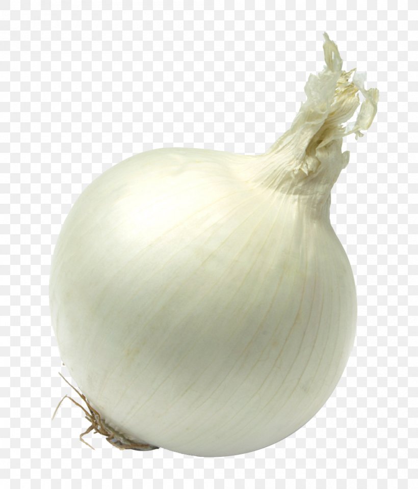 Yellow Onion Garlic Vegetable White Onion, PNG, 1000x1171px, Onion, Allium, Bulb, Business, Condiment Download Free