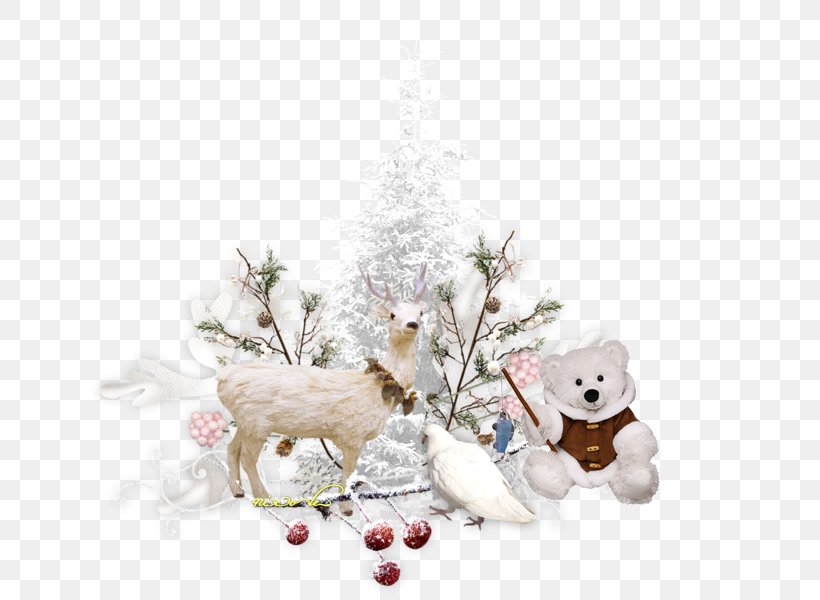 Christmas Decoration Santa Claus Winter Snowman, PNG, 800x600px, Christmas, Branch, Christmas Decoration, Christmas Eve, Christmas Ornament Download Free
