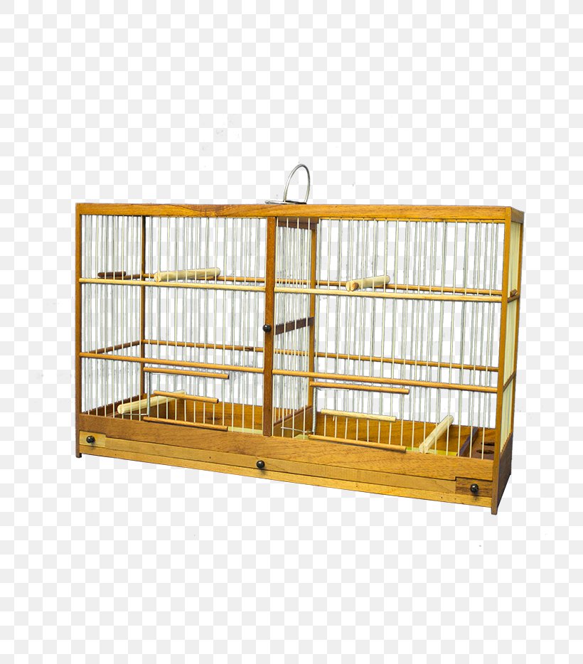Jehovah's Witnesses Furniture 4K Resolution, PNG, 800x934px, 4k Resolution, Jehovahs Witnesses, Bird Supply, Cage, Furniture Download Free
