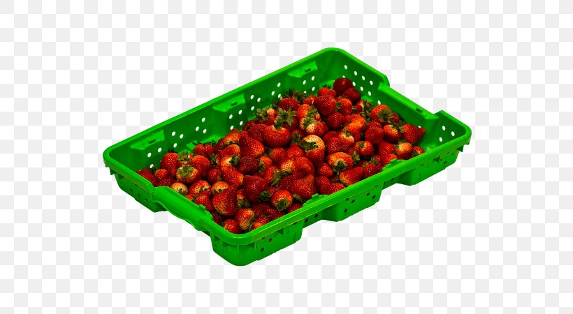 Tabasco Pepper Vegetarian Cuisine Berries Blueberry Food, PNG, 600x450px, Tabasco Pepper, Bell Peppers And Chili Peppers, Berries, Blueberry, Cayenne Pepper Download Free