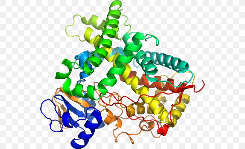 CYP1A2 Cytochrome P450 CYP2C19 Enzyme, PNG, 550x500px, Cyp1a2, Alu Element, Artwork, Body Jewelry, Cyp2c19 Download Free