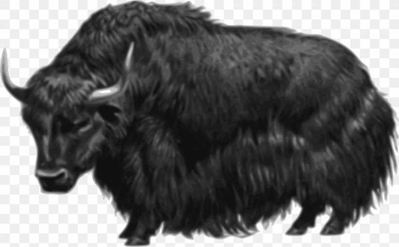 Domestic Yak Muskox Clip Art, PNG, 4000x2480px, Domestic Yak, Black And White, Bull, Cattle Like Mammal, Cow Goat Family Download Free