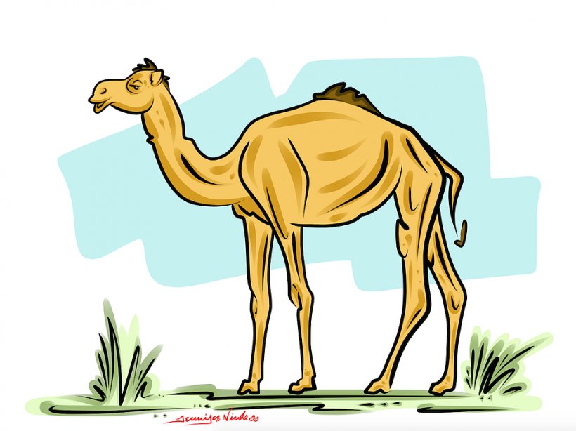 Dromedary Daffy Duck Free Content Clip Art, PNG, 942x706px, Dromedary, Arabian Camel, Art, Camel, Camel Like Mammal Download Free