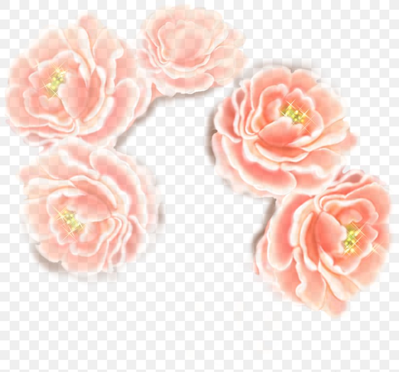 Garden Roses Cabbage Rose Woman Flower Pin, PNG, 800x765px, Garden Roses, Artificial Flower, Body Jewelry, Cabbage Rose, Carnation Download Free