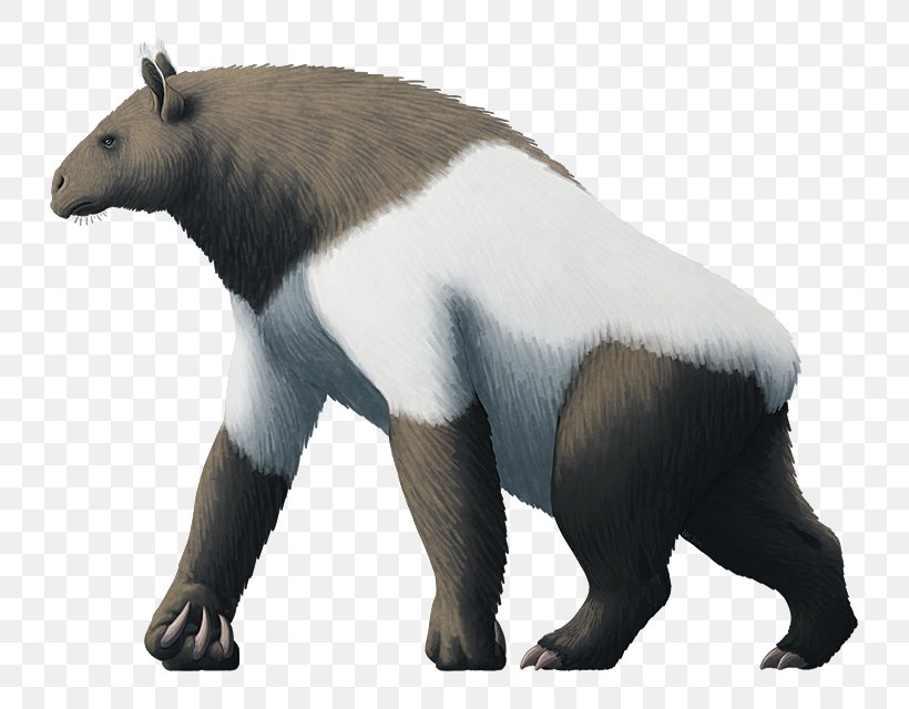 Horse Tapir Gorilla Ground Sloth, PNG, 800x640px, Horse, Animal, Animal Figure, Bear, Carnivoran Download Free