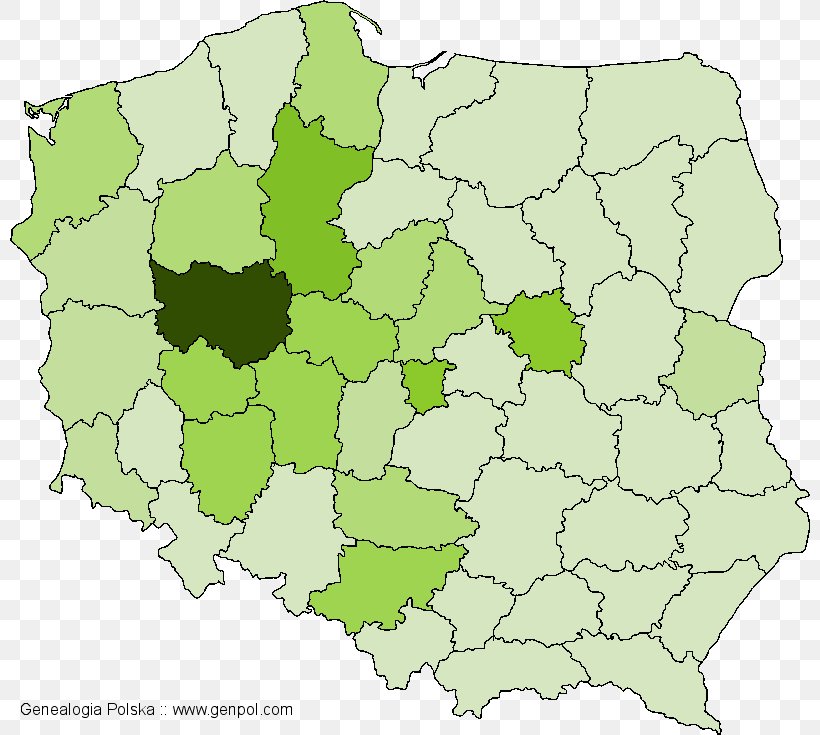 Map Surname 1990s Skała Kup, Poland, PNG, 800x735px, Map, Area, Family Tree, Genealogy, Person Download Free