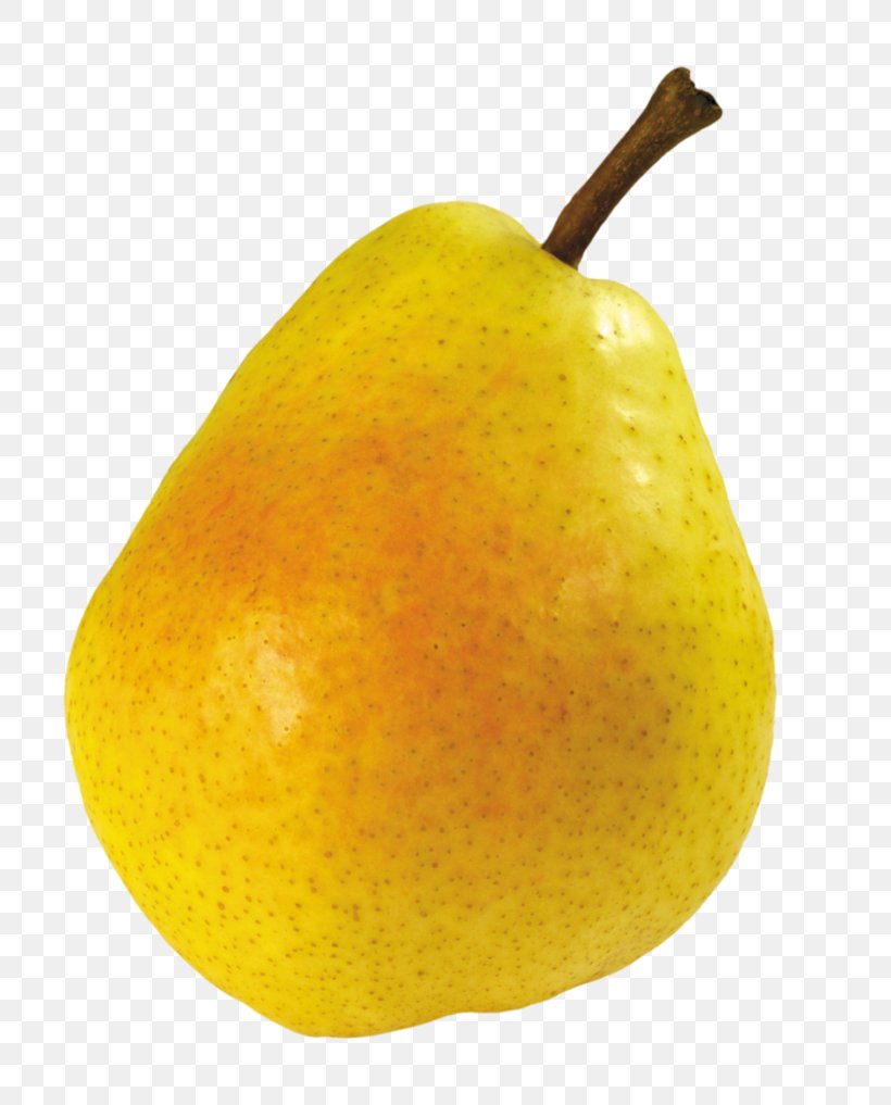 Pear Clip Art, PNG, 786x1017px, Pear, Accessory Fruit, Apple, Asian Pear, Citron Download Free