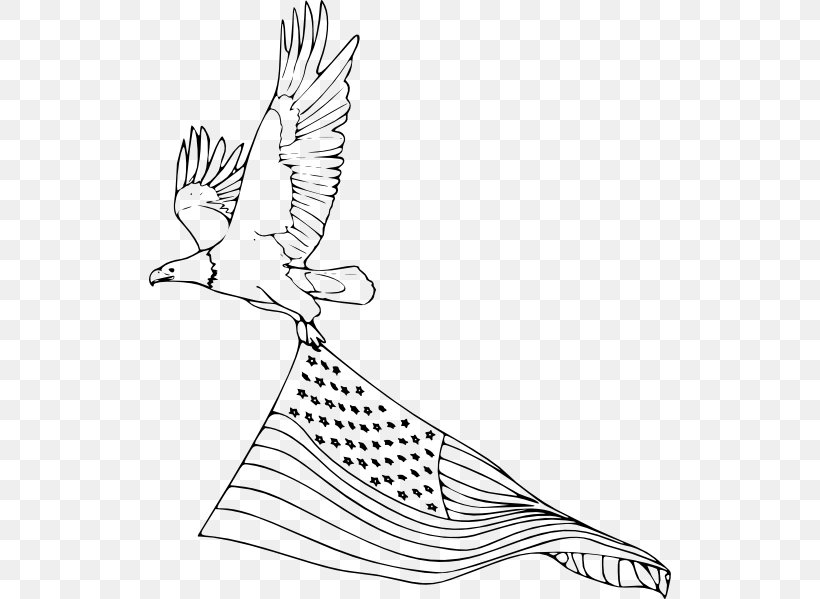 Bald Eagle Bird Coloring Book Drawing, PNG, 522x599px, Bald Eagle, Animal, Area, Art, Artwork Download Free