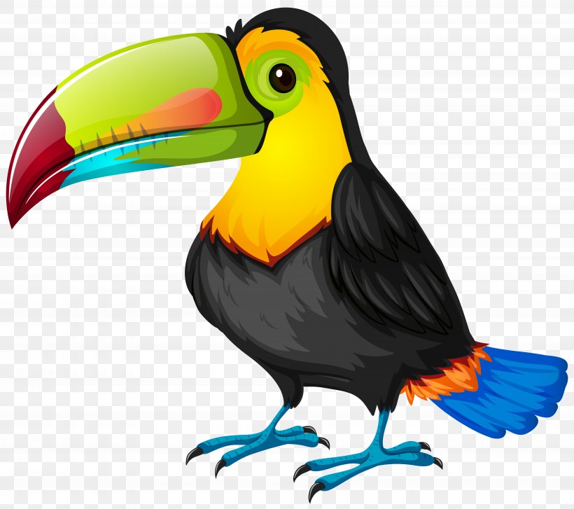 Bird Toucan Parrot Cartoon, PNG, 8000x7101px, Bird, Beak, Cartoon, Drawing, Fauna Download Free