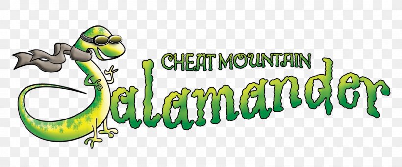 Cheat Mountain Salamander Durbin And Greenbrier Valley Railroad Train Reptile, PNG, 1600x667px, Train, Area, Brand, Grass, Habitat Download Free