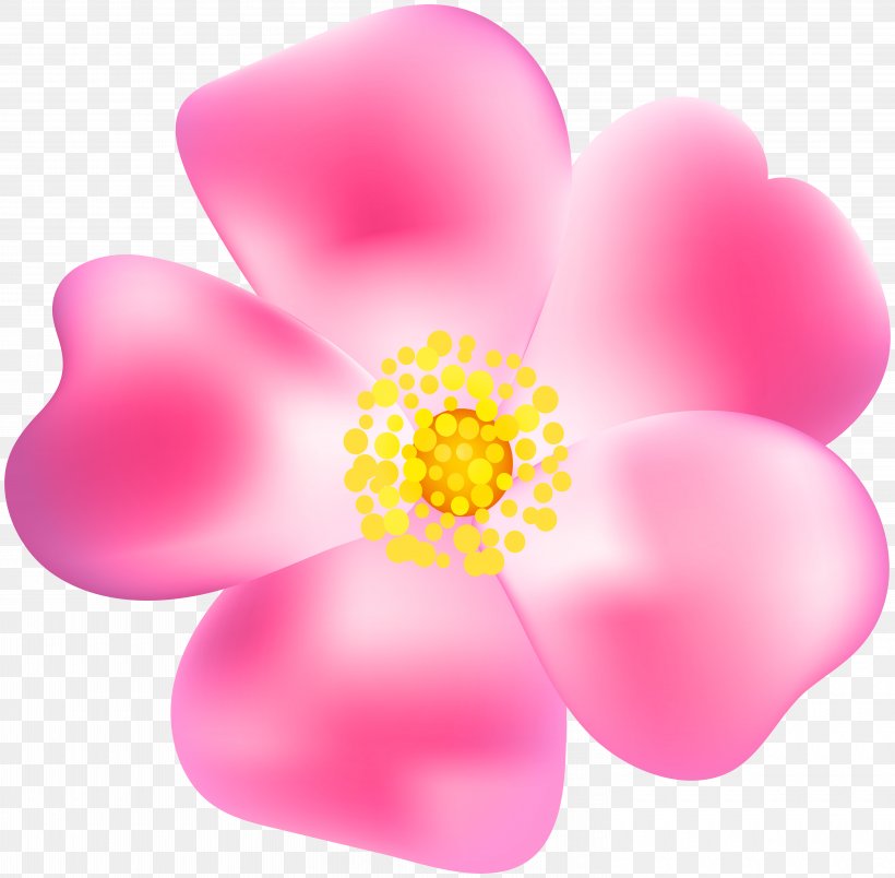 Clip Art, PNG, 6000x5889px, Safesearch, Blog, Drawing, Flower, Flowering Plant Download Free