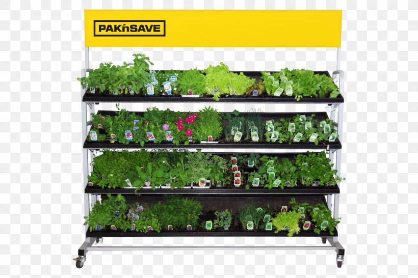 Garden Centre Product Shelf Tree, PNG, 1800x1200px, Garden, Basket, Garden Centre, Grass, Herb Download Free