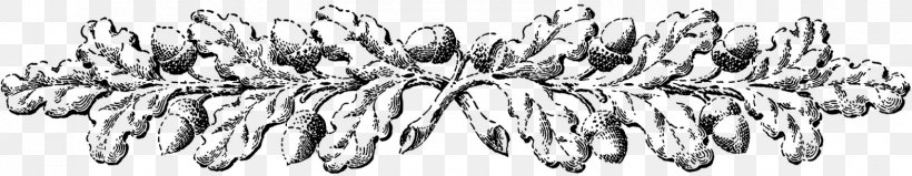 Leaf Acorn Ornament Clip Art, PNG, 1570x305px, Leaf, Acorn, Autumn, Autumn Leaf Color, Black And White Download Free