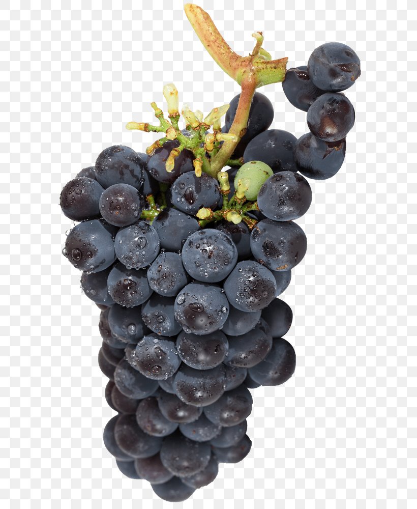 Sultana Wine Grape Gamaret Türtapete, PNG, 609x1000px, Sultana, Flowering Plant, Food, Fruit, Gamay Download Free