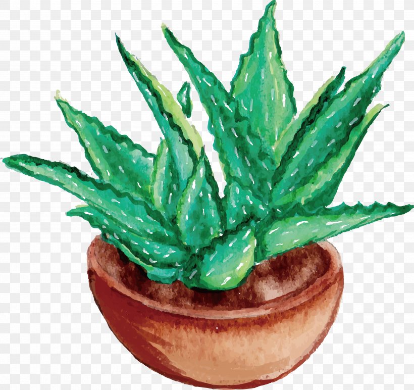 Aloe Vera Watercolor Painting Drawing, PNG, 3525x3321px, Aloe Vera, Aloe, Artworks, Drawing, Flowering Plant Download Free