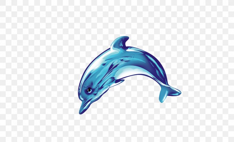 Common Bottlenose Dolphin Icon, PNG, 1181x718px, Common Bottlenose Dolphin, Blue, Bottlenose Dolphin, Cobalt Blue, Dolphin Download Free