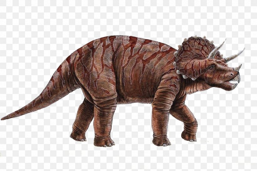 Torosaurus Triceratops Pentaceratops Dinosaur, PNG, 1600x1066px, Torosaurus, Animal Figure, Ceratops, Ceratopsia, Desktop Metaphor Download Free