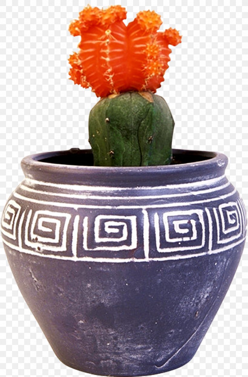 Cactaceae Flowerpot Bonsai Houseplant, PNG, 957x1455px, Cactaceae, Bonsai, Cactus, Ceramic, Echinopsis Oxygona Download Free