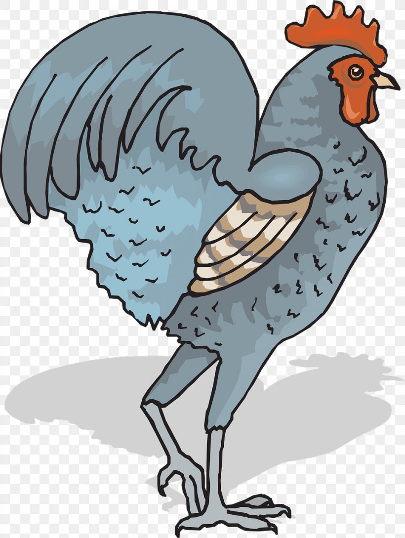 Chicken Rooster Bird Livestock Clip Art, PNG, 963x1280px, Chicken, Art, Artwork, Beak, Bird Download Free