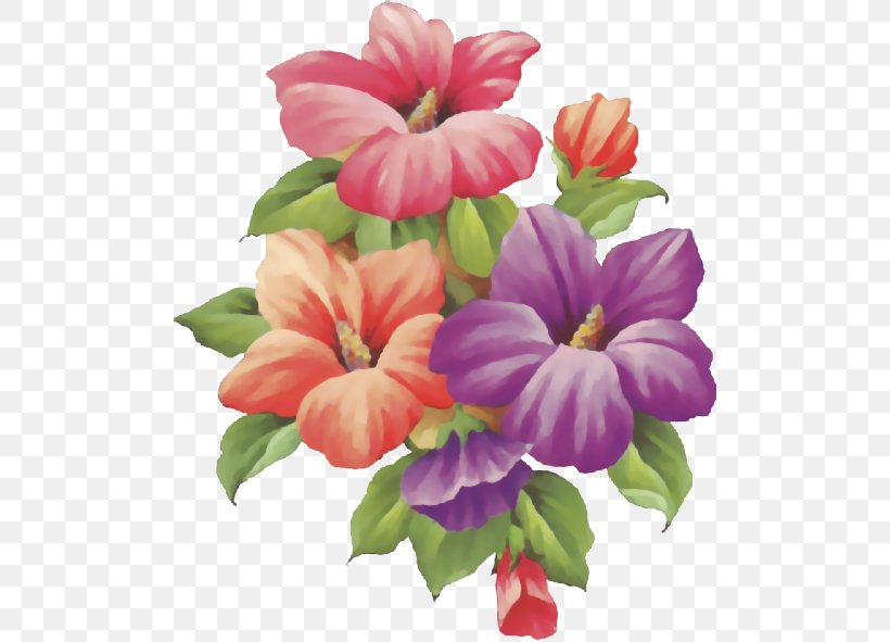 Flower Drawing Painting Decoupage, PNG, 500x591px, Flower, Animation, Annual Plant, Art, Decoupage Download Free