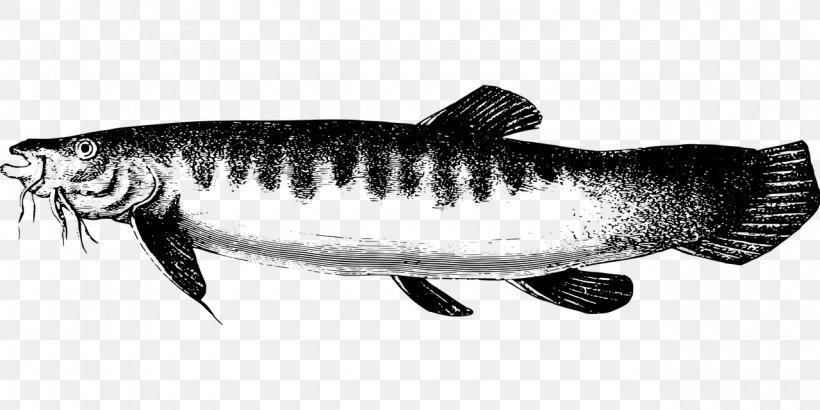 Sardine Icon Design Clip Art, PNG, 1280x640px, Sardine, Black And White, Bony Fish, Button, Catfish Download Free