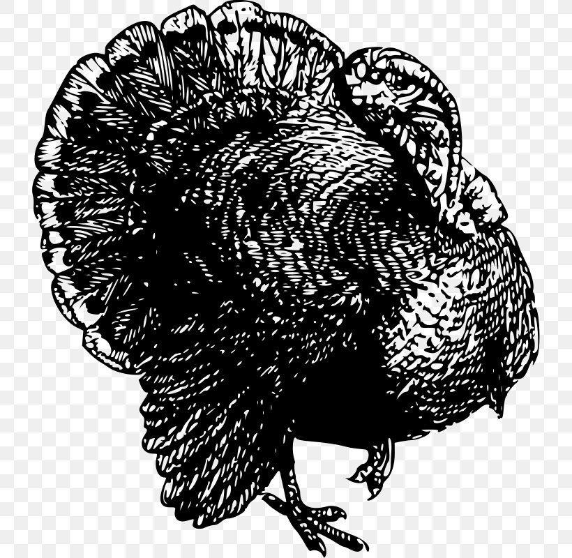 Clip Art, PNG, 728x800px, Raster Graphics, Beak, Bird, Black And White, Chicken Download Free