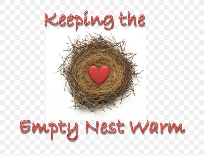 Empty Nest Syndrome Keeping Quilt Child Photography, PNG, 787x626px, Empty Nest Syndrome, Bird Nest, Child, Depression, Heart Download Free