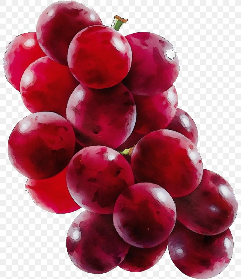 Grape Natural Foods Fruit Seedless Fruit Grapevine Family, PNG, 800x947px, Watercolor, Food, Fruit, Grape, Grapevine Family Download Free