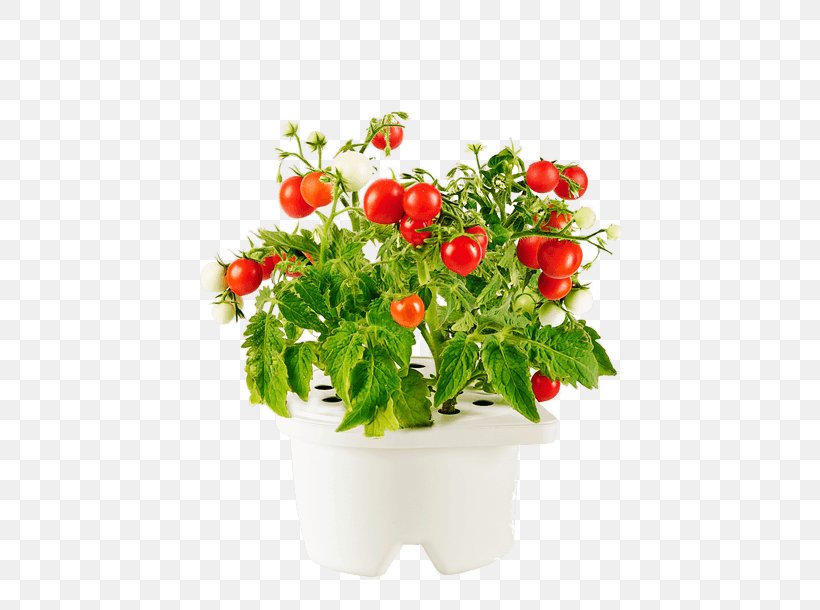 How To Grow Herbs Flowerpot Garden Hydroponics Grow Light, PNG, 760x610px, Flowerpot, Cut Flowers, Floral Design, Flower, Flower Box Download Free