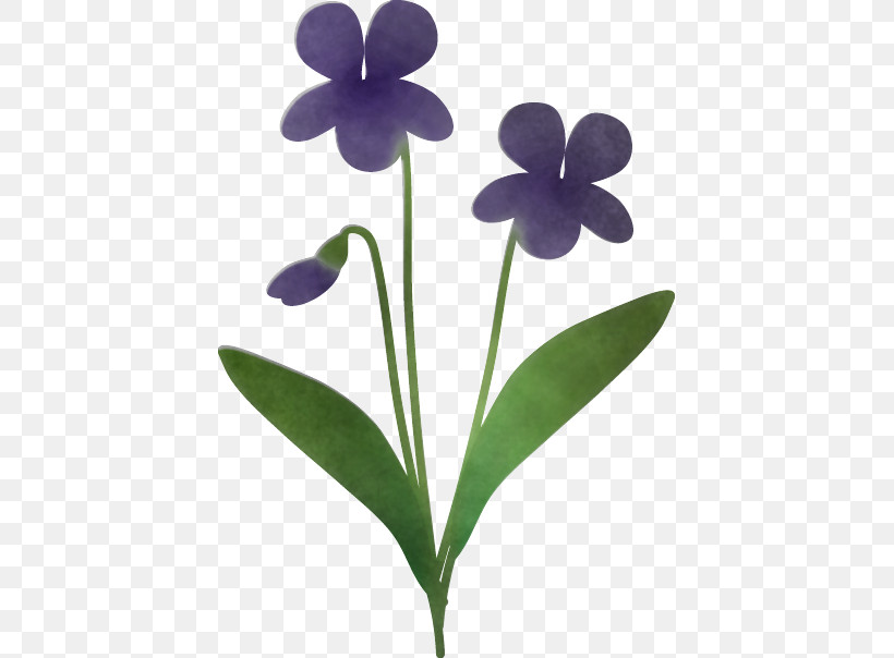 Plant Stem Viola Plants Science Biology, PNG, 419x604px, Plant Stem, Biology, Plant Structure, Plants, Science Download Free