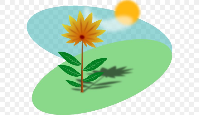 Plant Sunlight Clip Art, PNG, 600x474px, Plant, Daisy, Daisy Family, Drawing, Flower Download Free