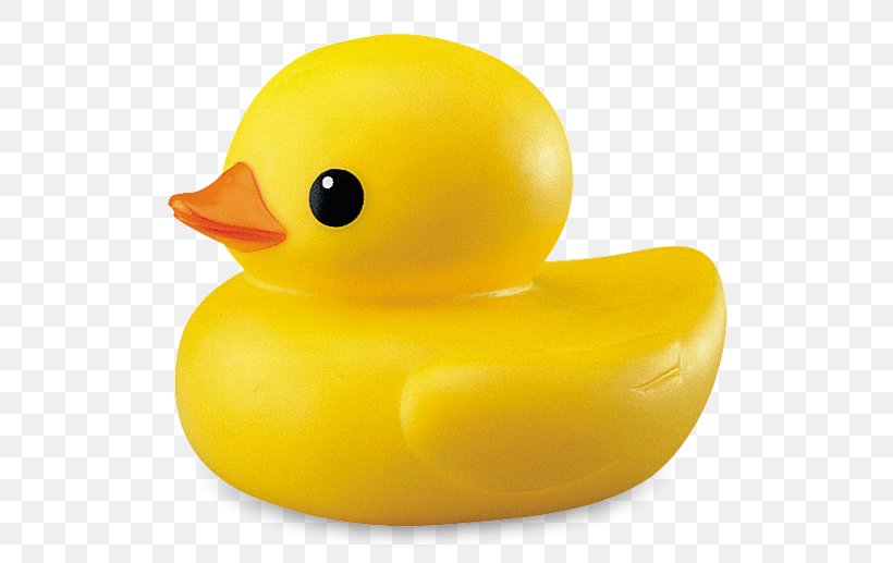 Rubber Duck Toy Bathtub, PNG, 700x517px, Duck, Bathroom, Baths, Beak, Bird Download Free