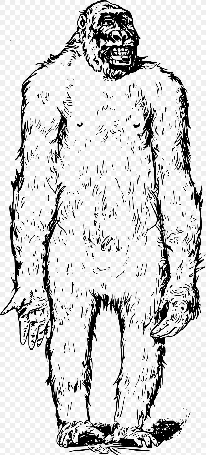 Bigfoot Ape Clip Art, PNG, 1134x2503px, Watercolor, Cartoon, Flower, Frame, Heart Download Free