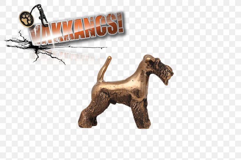 Border Collie Rottweiler Cane Corso Jewelery Factory Ltd. Central Asian Shepherd Dog, PNG, 1000x667px, Border Collie, Animal Figure, Boxer, Cane Corso, Carnivoran Download Free